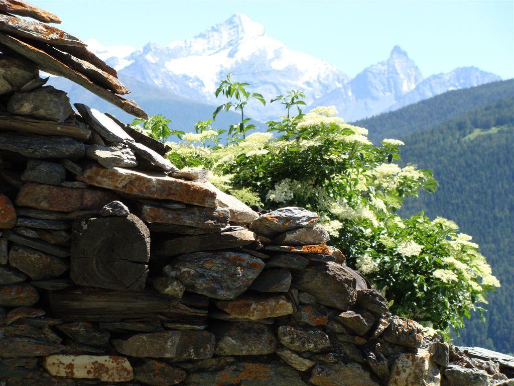 Maison De Frein Allein Dış mekan fotoğraf